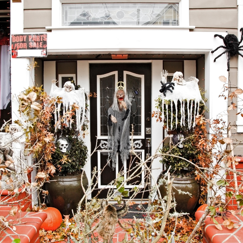 Seasonal Spectacle DIY Family Holiday Driveway.