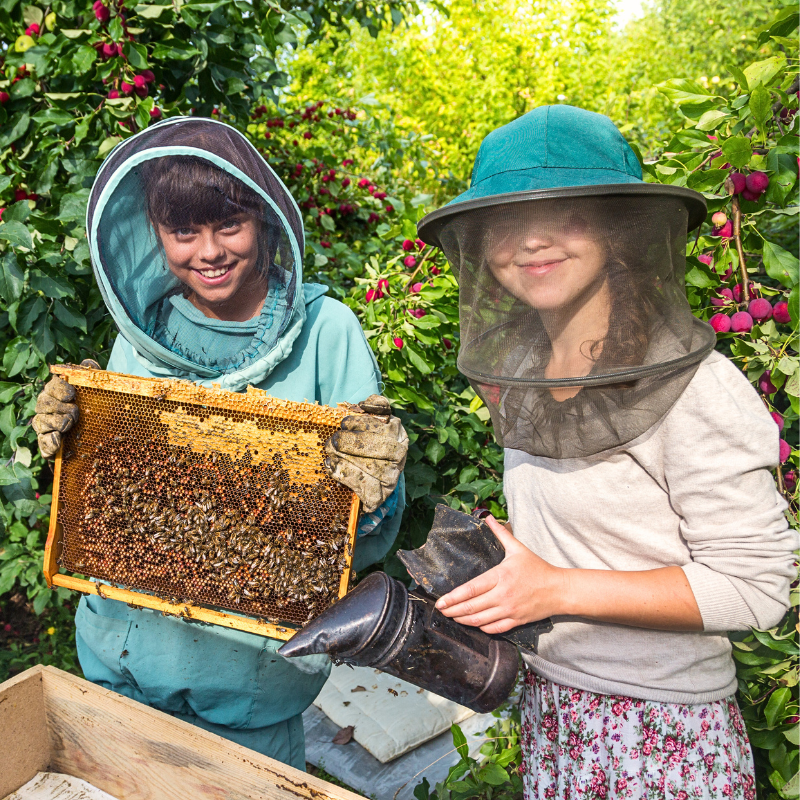 Beekeeping: Hive to Honey!