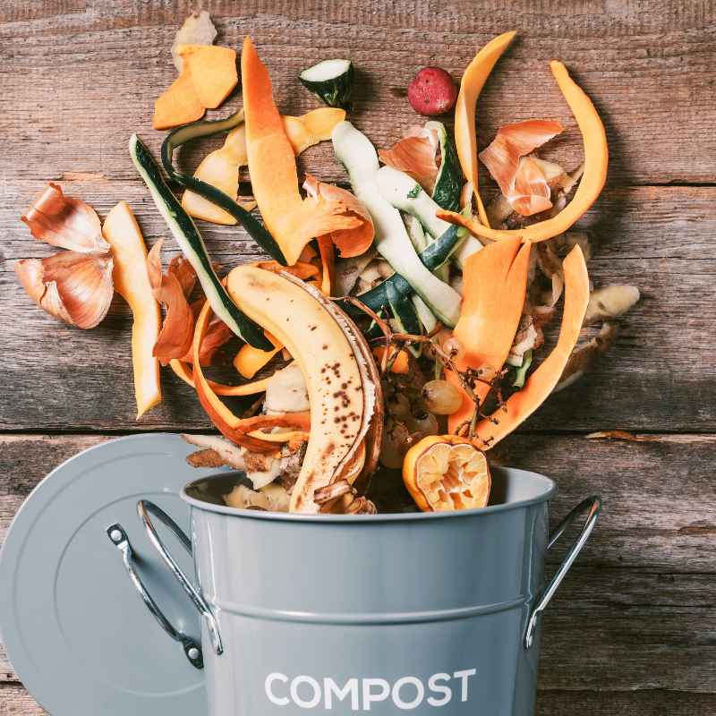 Eco- Warrior: Planting & Compost Crafting.