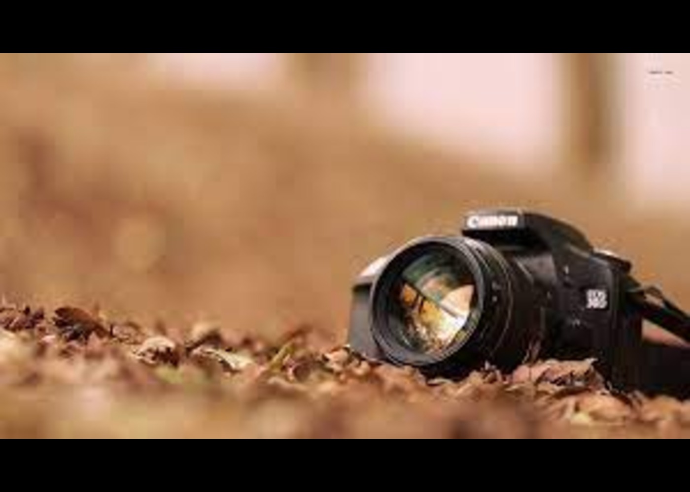 Adobe Photoshop CC – Essentials Training Course